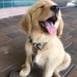 Meet your Posher, Jill